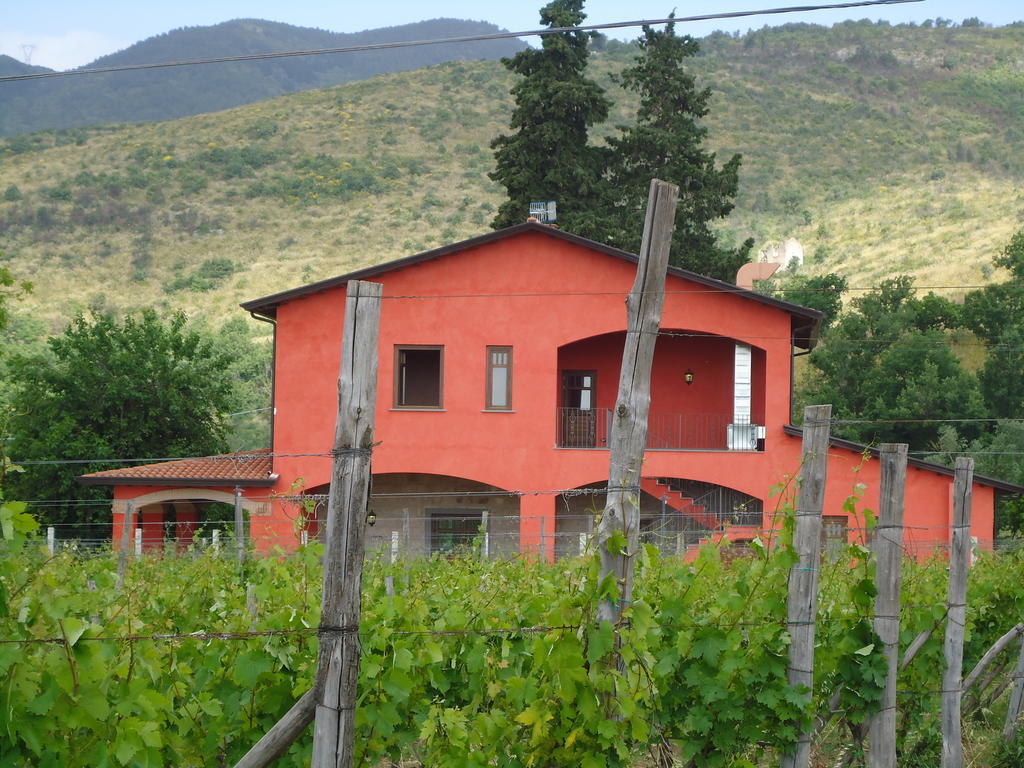 Agrituirsmo Masseria Campierti Falciano del Massico Eksteriør bilde